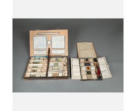 Scientific educational samples, two volumes with hand written descriptions and objects on glass for presentation for microsco