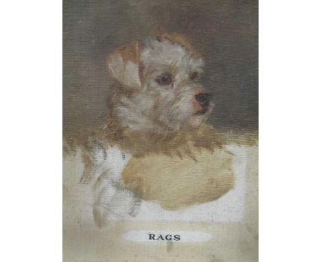 English School c1910-20: Rags - portrait of a terrier (unfinished), oils on canvasboard, 36cm x 26.5cm: Another of a large bl