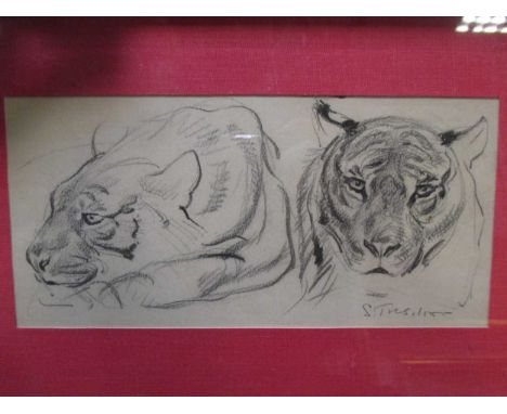 Cecil Stuart Tresilian (1891-1971) sketch of two tigers signed pencil 11.5 x 24cm