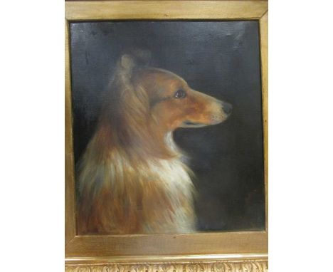 An oil painting late 19th c portrait of a collie dog, 45 x 39cm