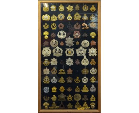 A collection of over seventy predominantly Canadian cap badges to include two Royal Winnipeg Rifles, 2nd/10th Dragoons, Royal