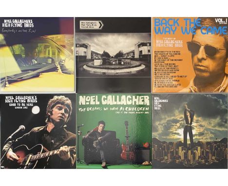 NOEL GALLAGHER LP COLLECTION - a collection of 9 Noel Gallagher LPs, including 2 7". Collection to include: Magic Secrets 202