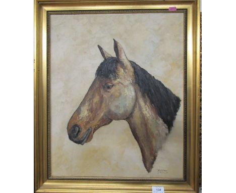 Alan King, oil on canvas, Mr Dillan, portrait of a horse, 21.5ins x 17.5ins