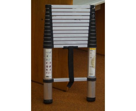 13 Step Extending ladders 