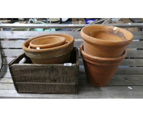A Vintage Burrows and Sturgess Bottle Box and Collection of Terracotta Plant Pots 