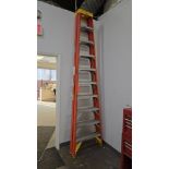 Werner 10 ft. Step Ladder;