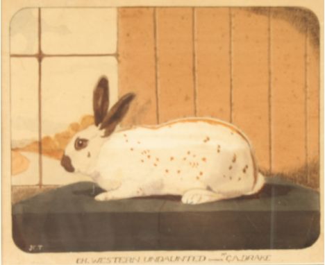 Victorian Provincial SchoolA Rare Portrait of the Champion Rabbit Western Undaunted Owner Mr G.A Drake WatercolourInitialled 