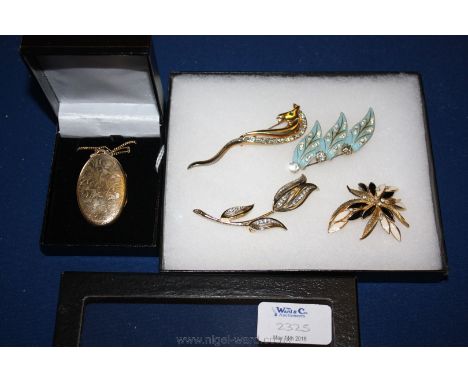 Four enamel and gold coloured Brooches and a boxed yellow metal Locket and chain, maker G.F.