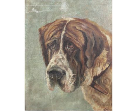 A St. Bernard dog portrait, early 20th century, oil on board, monogrammed BL and dated '08 lower right, 44 by 36cm.