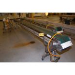 Conveyor - Motorized Belt Conveyor, 10 in. Wide x 20 ft. Length, Stainless Steel Frame, SS