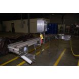 Sim-Co Dual Lane Motorized Belt Conveyor, SS Frame, Adjustable Base, 10 ft. Length