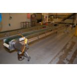 Conveyor - Motorized Belt Conveyor, 10 in. Wide x 20 ft. Length, Stainless Steel Frame, SS
