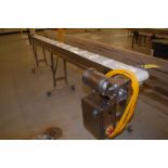 Dorner Motorized Conveyor, Stainless Steel Frame, 8 in. Wide x 12 ft. Length, SS