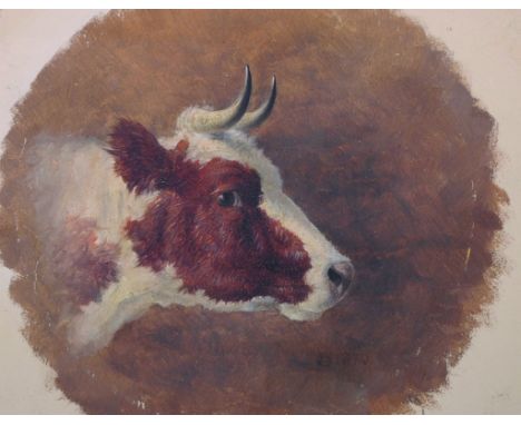 Circle of William Huggins (1820-1884) British. Sketch of a Bulls Head, Oil on Card, Indistinctly Inscribed, 5.5" x 6.75".  