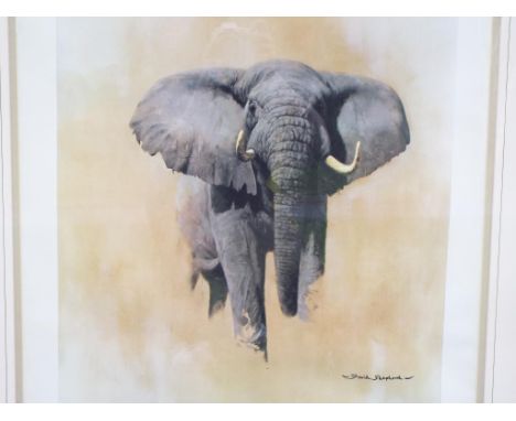 After David Shepherd - A limited edition print by David Shepherd, 'Sketch for a Painting - African Bull Elephant', signed in 