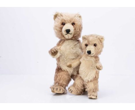 both with light brown mohair with white mohair chest and inner ears, orange and black glass eyes, swivel heads, card lined fe