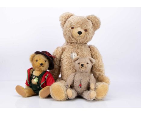 the largest an Anker bear with light brown mohair, orange and black glass eyes, black stitched nose and mouth, inoperative gr