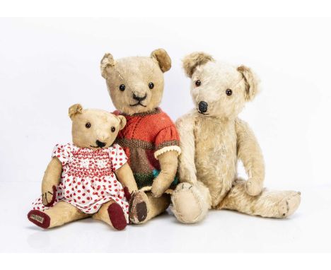 a Magna teddy bear with golden mohair, orange and black glass eyes, black horizontally stitched nose, black stitched mouth an