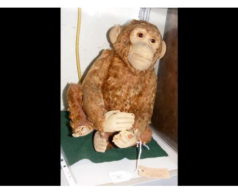 An original Steiff chimpanzee 'Jacko' circa 1912 - 40cms