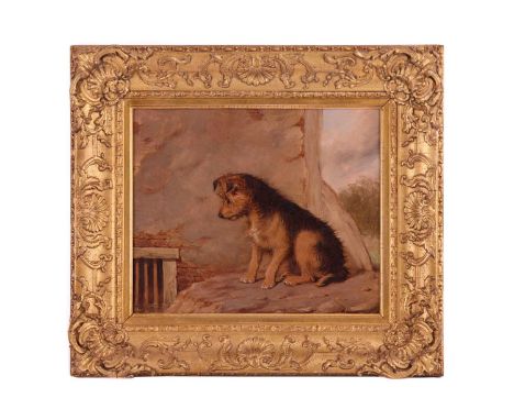 Martin Theodore Ward (1799 - 1874), 'Inquistive' - a dog looking at a drain, initialled bottom right, oil on canvas, 26 x 31 