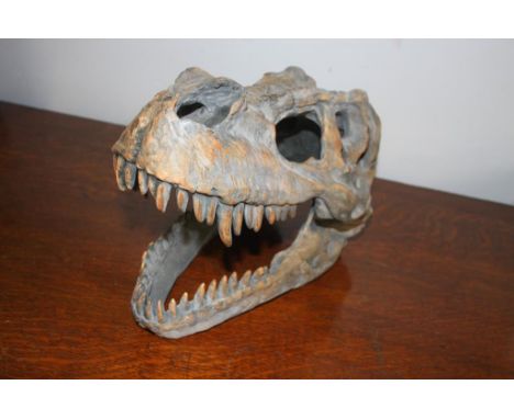 Cast dinosaur skull