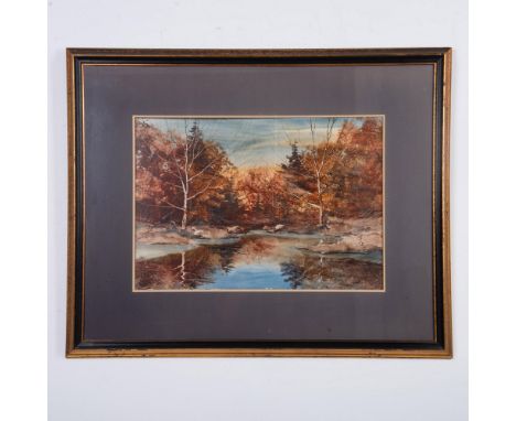 Original watercolor and ink on board by American artist Dennis Frings who depicts a forest landscape with the sky reflecting 