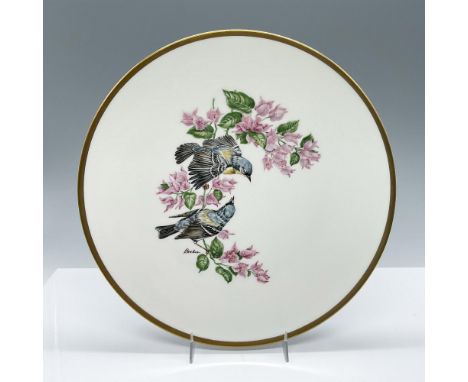 A stunning depiction of two warblers in Bougainvillea flowers on fine English bone China with gold band around rim. This item