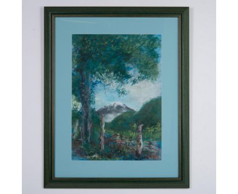 Large original pastel on laid paper representing a snow-capped mountain that the artist framed with a glorious tree shading a