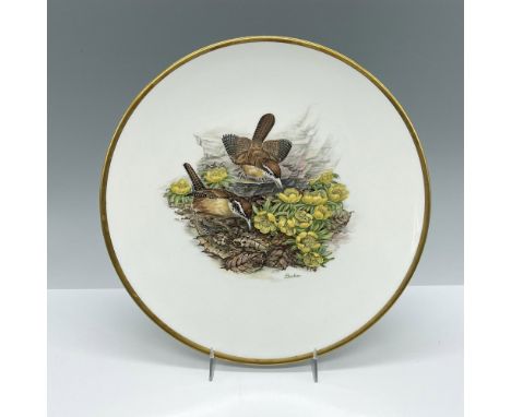 A stunning depiction of two wrens looking at yellow flowers on fine porcelain with gold band around rim. This item has its or