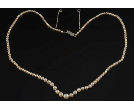 A pearl and seed-pearl single string necklace: with ruby and diamond clasp, the pearls and seed-pearls graduated from 2.7mm t