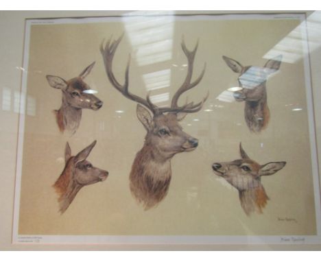 A Brian Rawling limited edition print of stag and deer No.112/300, framed and glazed, 35cm x 46cm