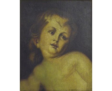 Early 19th Century School - bust portrait of a cherub, oil on canvas, 7.5" x 9.5", framed