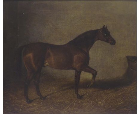 19th Century School - portrait of a horse, indistinctly signed and dated 1838, oil on canvas, 15.5" x 14.5", framed