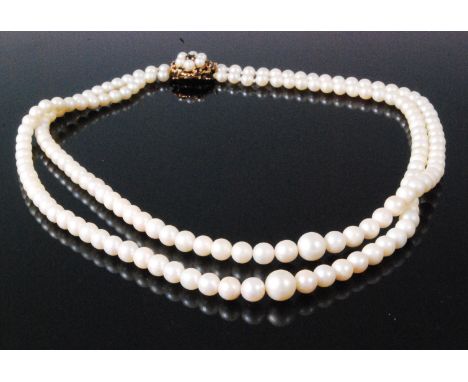 A graduated and knotted cultured pearl double string choker having 9ct old sapphire and further cultured pearl set flowerhead