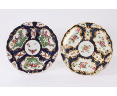 Two Worcester-style porcelain plates, one painted with panels of exotic birds, flowers and insects, the other with floral spr