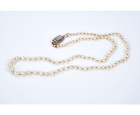 Cultured pearl necklace with a single string of graduated cultured pearls, measuring from 3.2mm - 7.5mm, on a rose gold and a