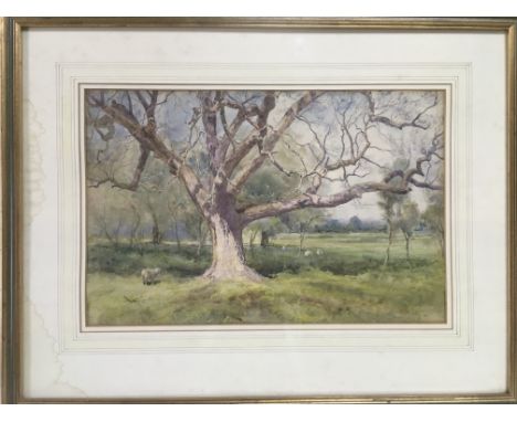 William Eyre Walker (1847-1930) framed and glazed watercolour landscape titled 'Early Spring', approx 59.5cm x 46cm - NO RESE