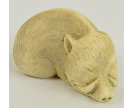A Japanese Meiji period carved ivory netsuke modelled as a sleeping boar, length 4.5cm.
