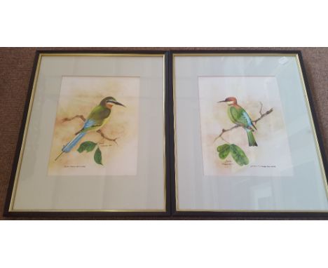 JERRAM; a pair of watercolours, "Chestnut-headed Bee-eater" and "Blue-tailed Bee-eater", a decorative pastel of pigs, silk pr