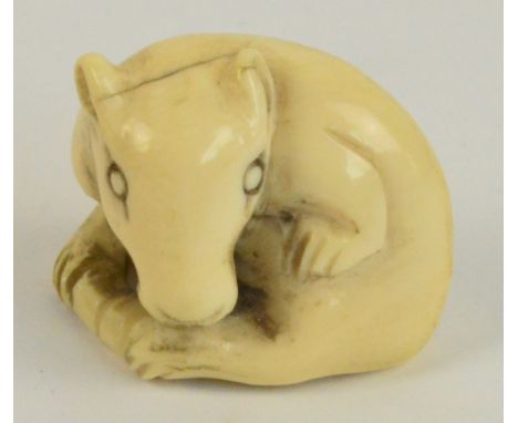 A Japanese Meiji period carved ivory netsuke modelled as a rat licking its paw and sat on its tail, with scratched and inked 