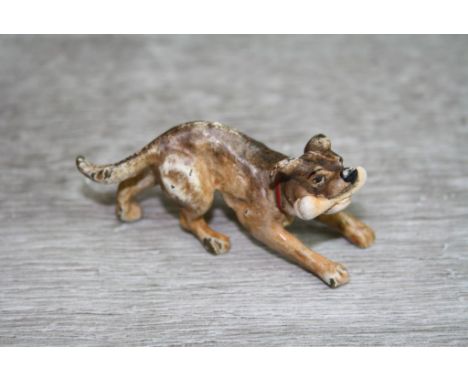 Mid 20th century bronze model of a dog, holding a bone in his mouth