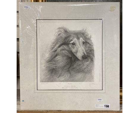 SIGNED LTD EDITION PRINT OF SHETLAND SHEEPDOG BY GARY HODGES
