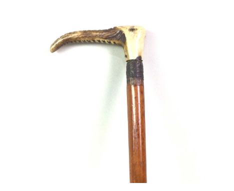 HORN HANDLED A RIDING CROP, ALONG WITH A COACH DRIVER'S WHIP the crop with malacca shaftthe crop 70cm