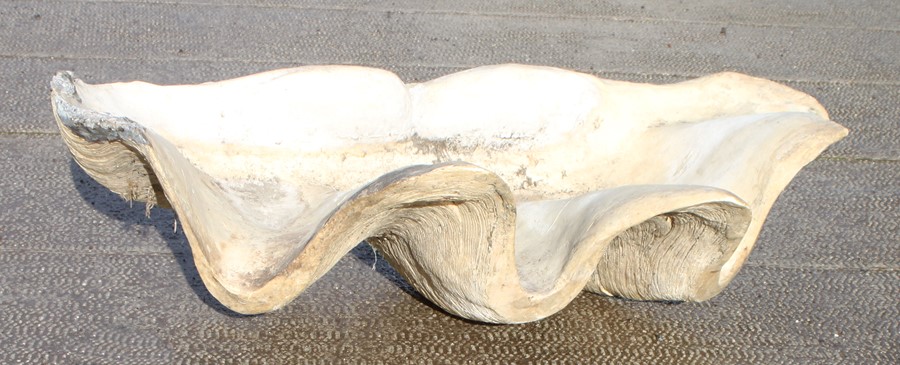 fiberglass shells for sale