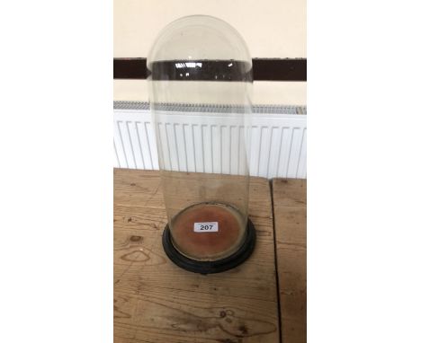  Sale Item:    TALL GLASS DOME STAND   Vat Status:   No Vat   Buyers Premium:  This lot is subject to a Buyers Premium of 15%