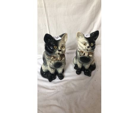 Sale Item:    2 BO'NESS CATS (AF)   Vat Status:   No Vat   Buyers Premium:  This lot is subject to a Buyers Premium of 15% +