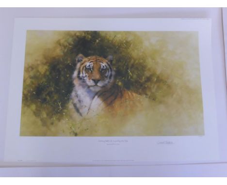 DAVID SHEPHERD, LIMITED EDITION PRINT, 18/850, 'WORKING SKETCH FOR A PAINTING OF A TIGER', SIGNED IN PENCIL TO MARGIN, IMAGE 