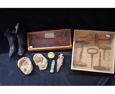 'IRON NAILS FROM ROMAN LEGIONARY FORTRESS'at Inchtuthil, Perthshire, in a display case, a trilobite fossil, a metal ushabti f