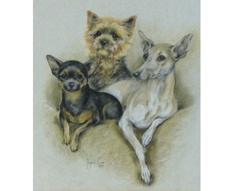 Marjorie Cox, 
coloured pastels, portrait of 3 dogs, signed and dated 1980, 17.5" x 15.5", framed.