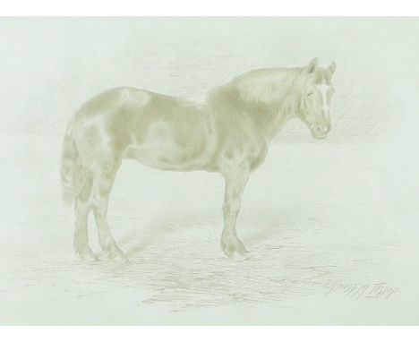 Ernest Jessop,
a silver print, Jessie, the last horse ridden by Queen Victoria, signed.